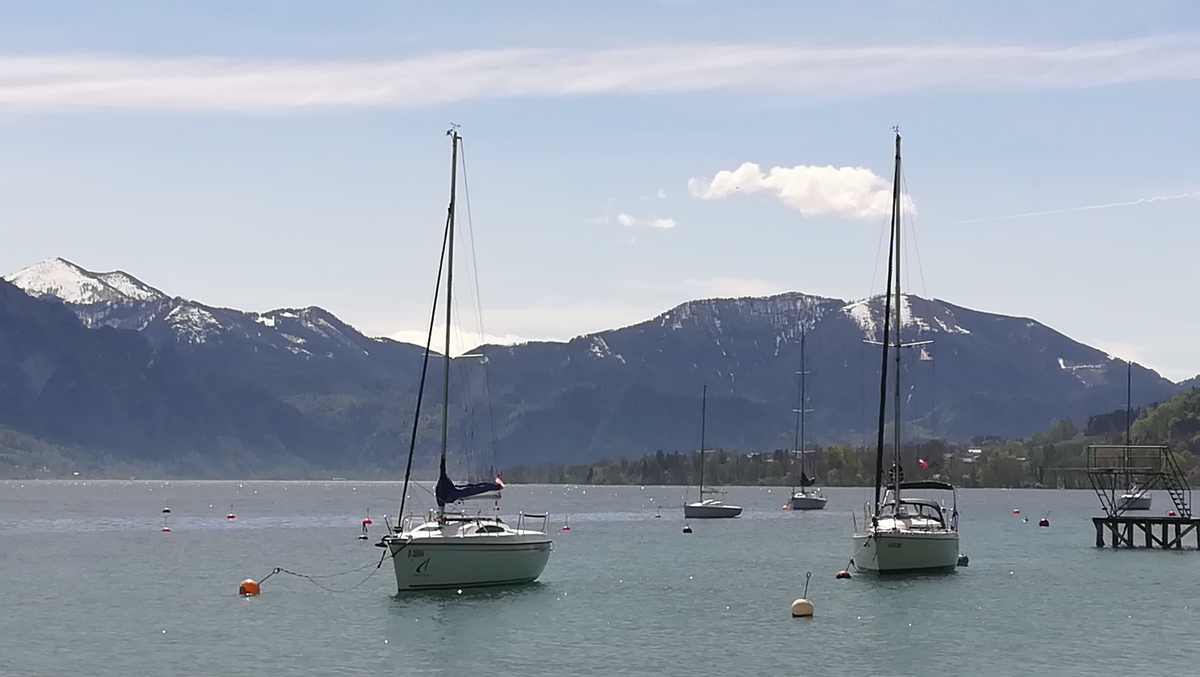 IMG_20190424_124619.jpg